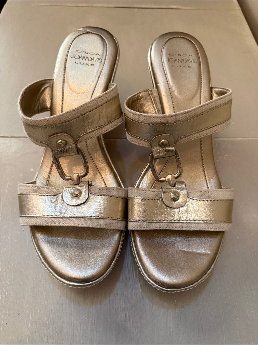 Joan David Luxe Metallic Gold Slide Sandals
